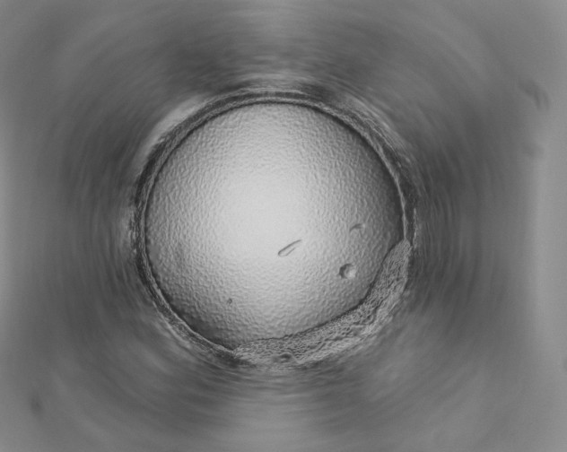 X0000112761164200909031541