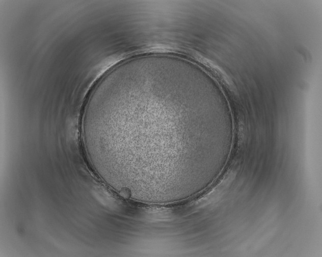 X0000112761170200909031541