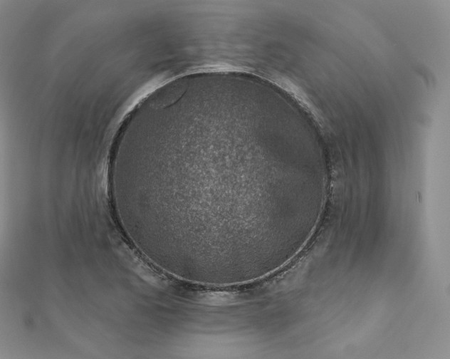 X0000112761173200909031541