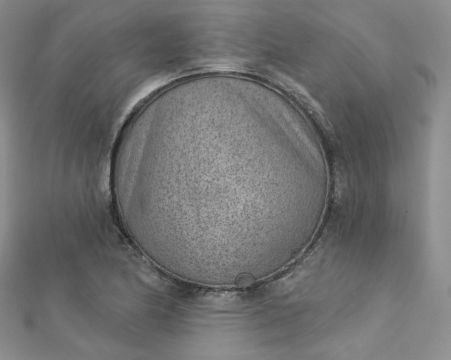 X0000112761174200909031541