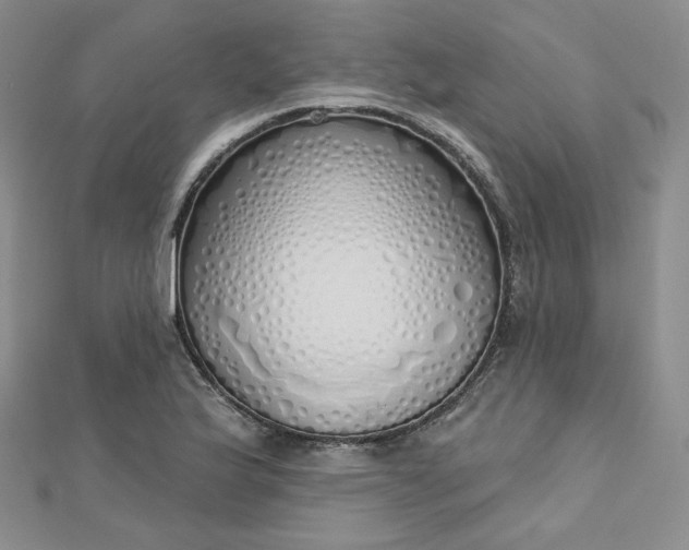 X0000112761175200909031541