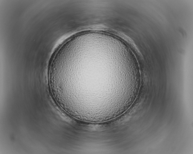 X0000112761176200909031541