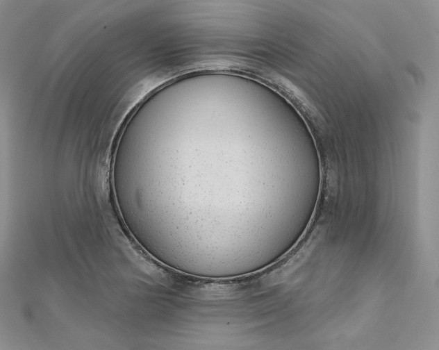 X0000112761178200909031541