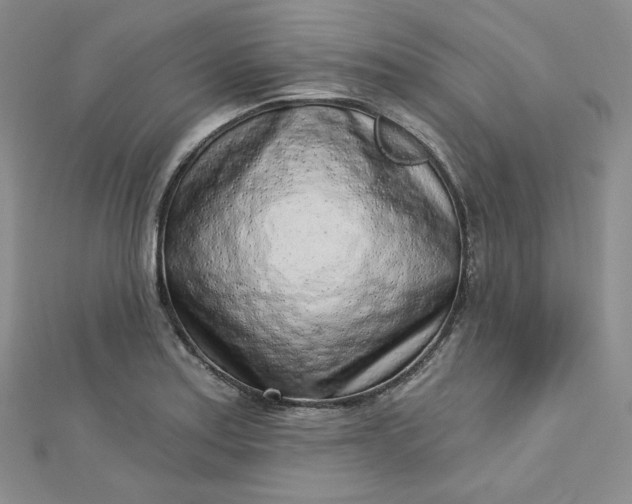 X0000112761179200909031541