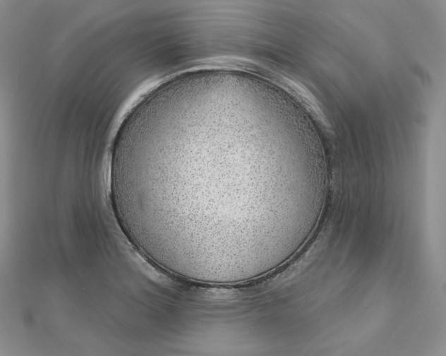 X0000112761180200909031541
