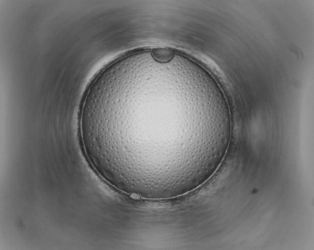 X0000112761183200909031541