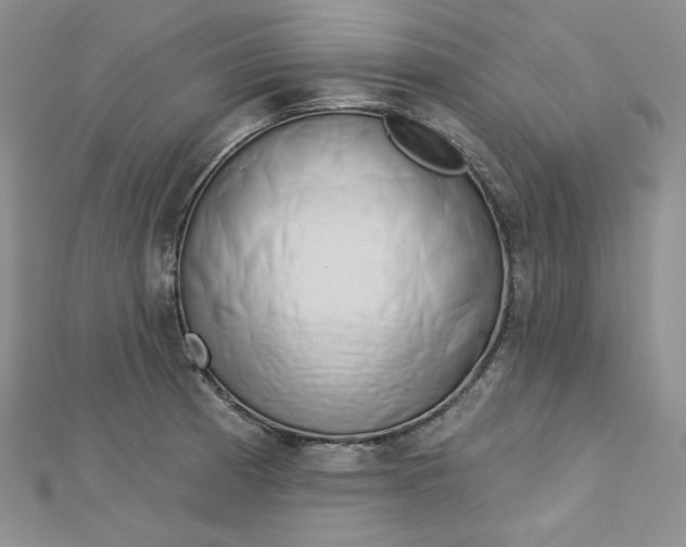 X0000112761185200909031541