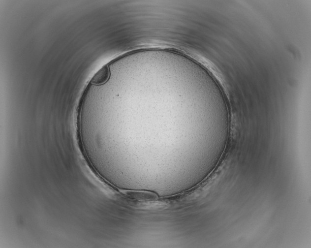 X0000112761187200909031541