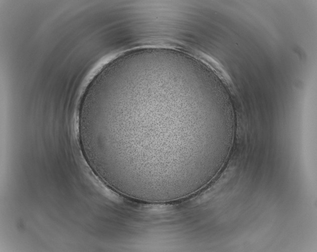 X0000112761188200909031541
