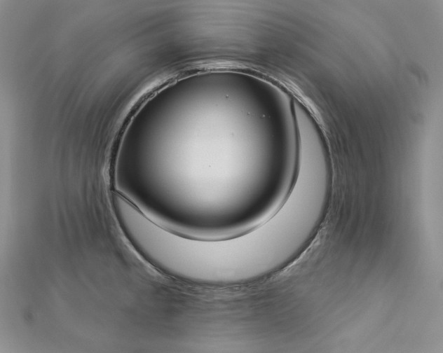 X0000112761189200909031541
