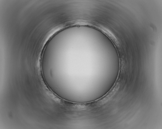 X0000112761190200909031541