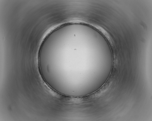 X0000112761191200909031541