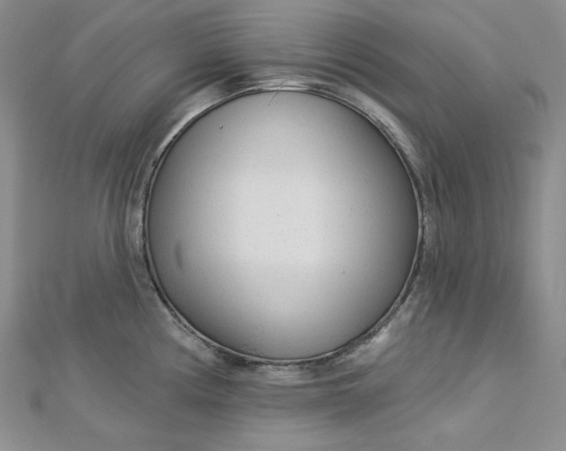 X0000112761194200909031541