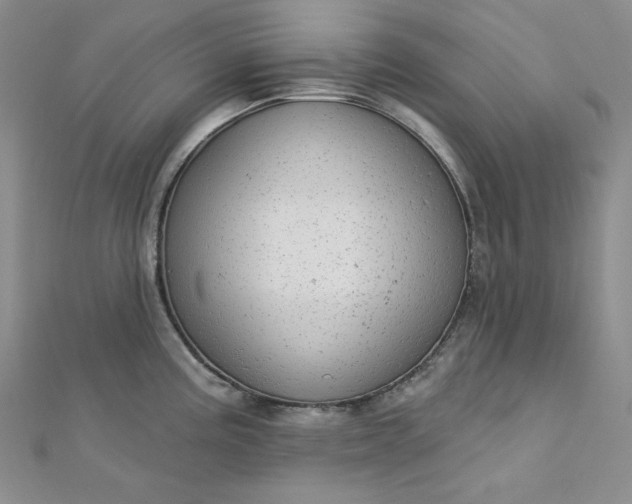 X0000112761195200909031541