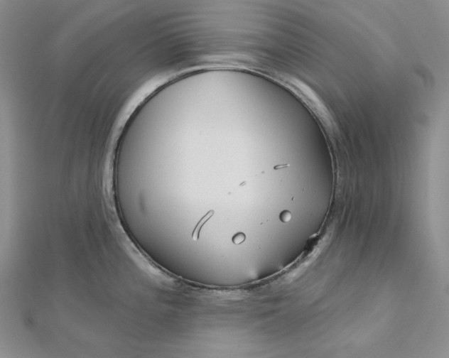 X0000112761196200909031541