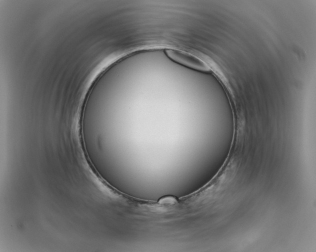 X0000112761197200909031541