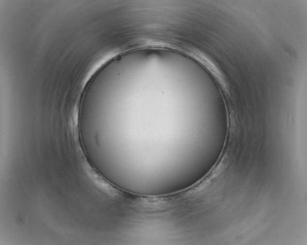 X0000112761198200909031541