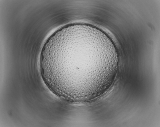 X0000112761199200909031541