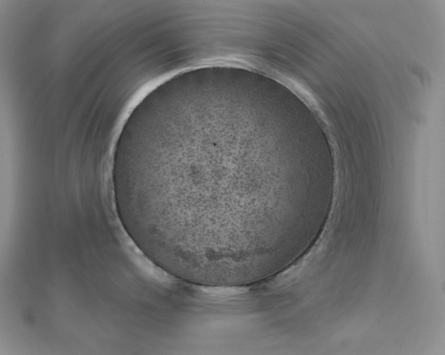 X0000112761200200909031541