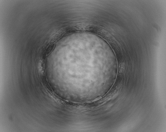 X0000112761202200909031540
