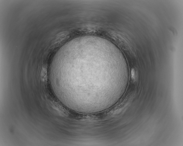 X0000112761203200909031540