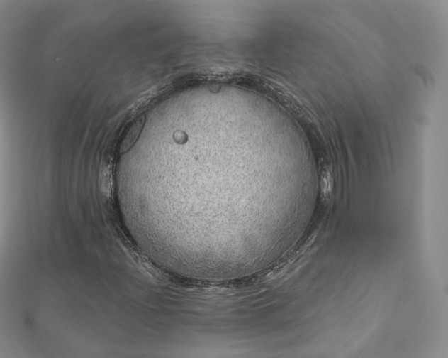 X0000112761204200909031540