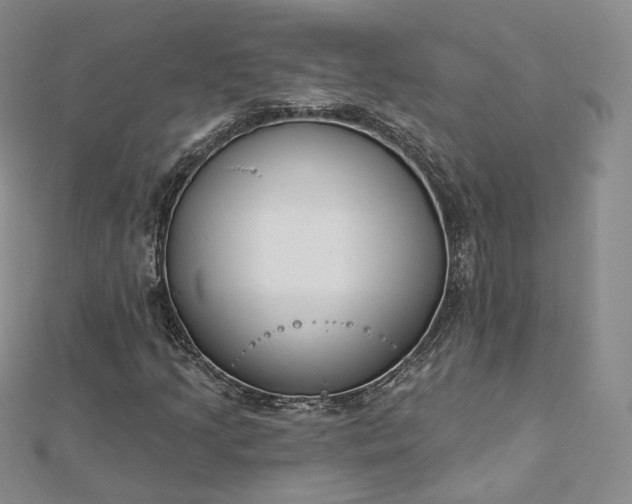 X0000112761205200909031540