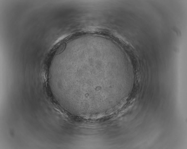 X0000112761206200909031540