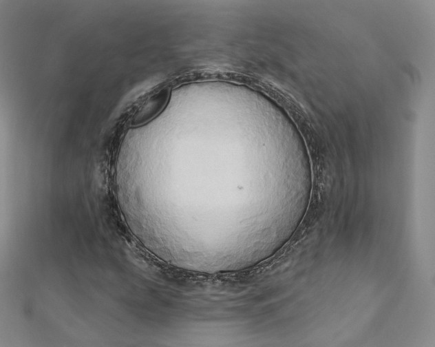 X0000112761207200909031540