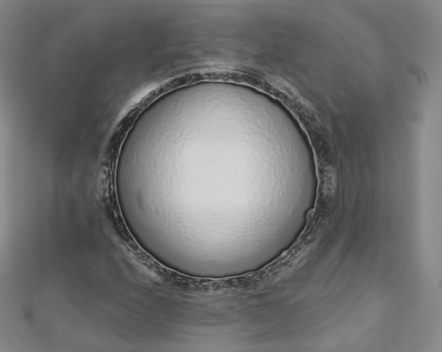 X0000112761208200909031540