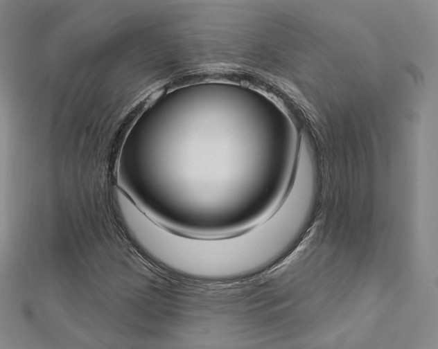 X0000112761209200909031540