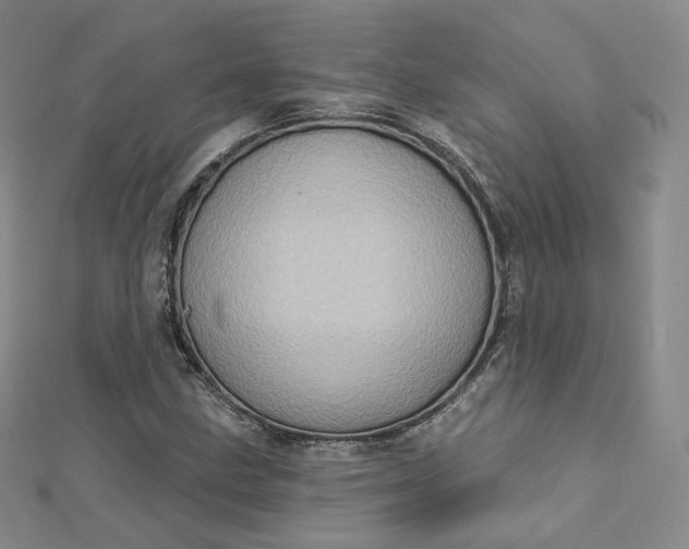 X0000112761211200909031540