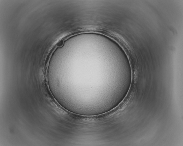 X0000112761212200909031540
