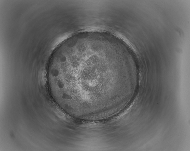 X0000112761213200909031540