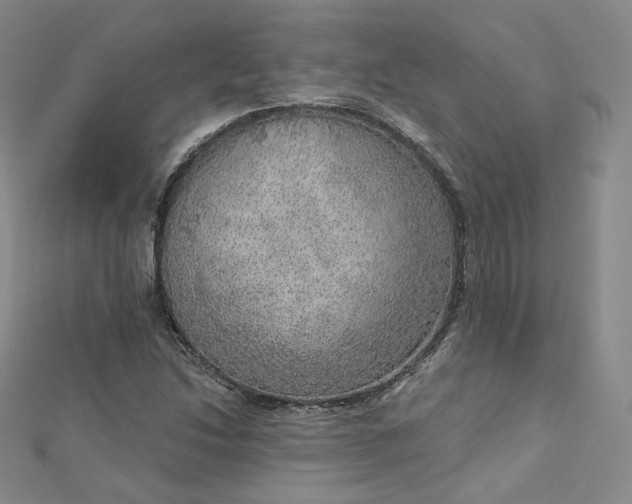 X0000112761214200909031540