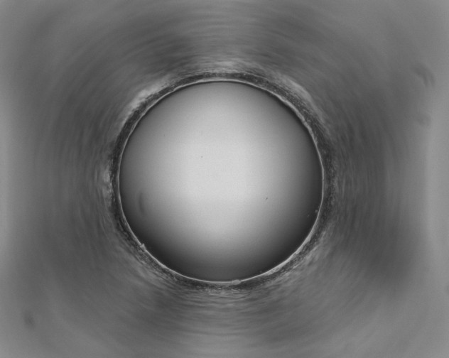 X0000112761218200909031540