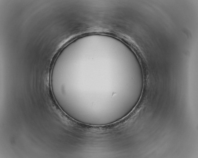 X0000112761220200909031540