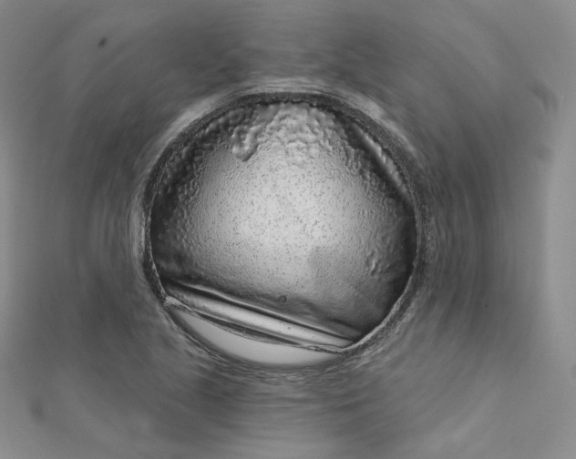 X0000112761221200909031540