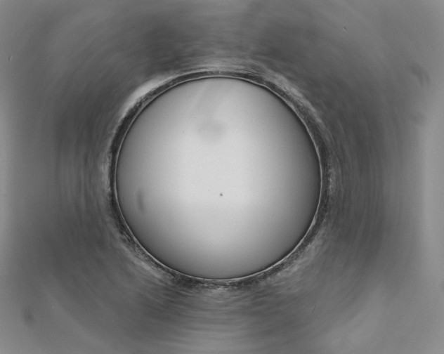 X0000112761222200909031540