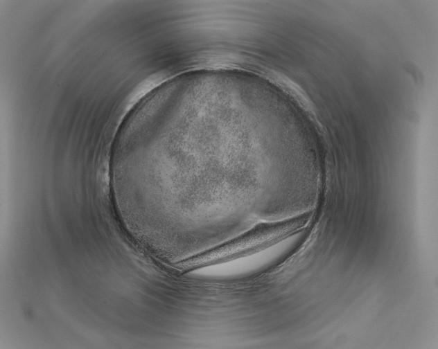 X0000112761226200909031540