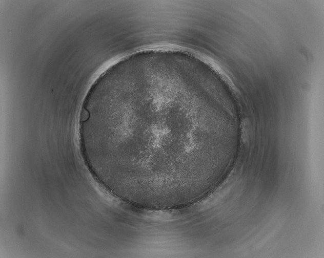 X0000112761229200909031540