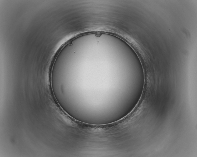 X0000112761230200909031540
