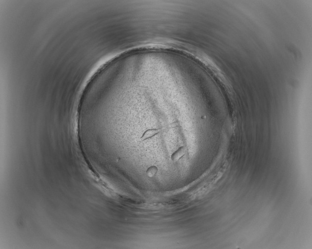 X0000112761232200909031541