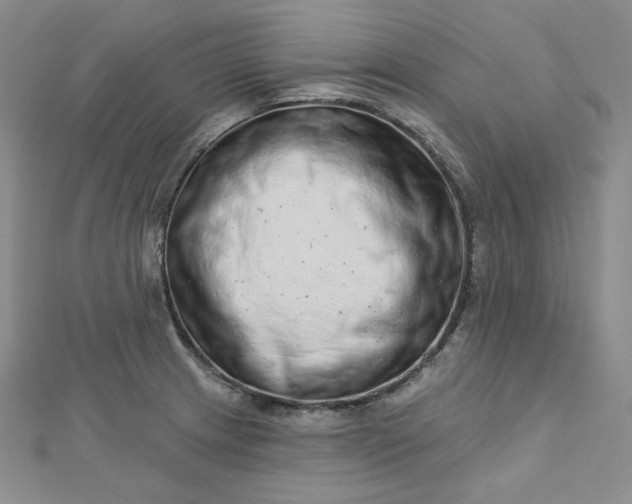X0000112761233200909031541