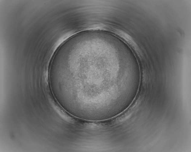 X0000112761234200909031541