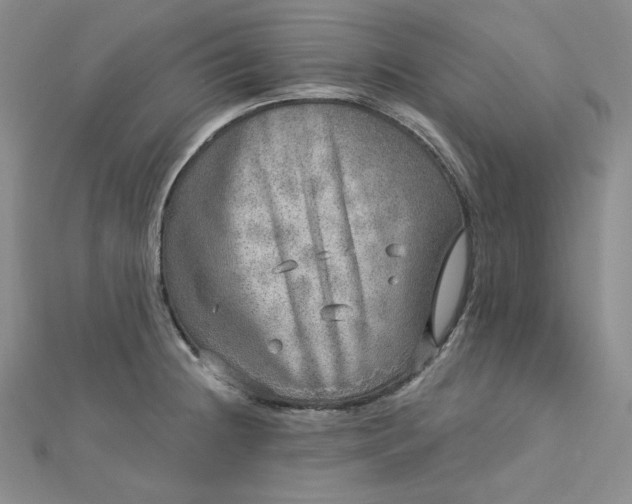 X0000112761236200909031541