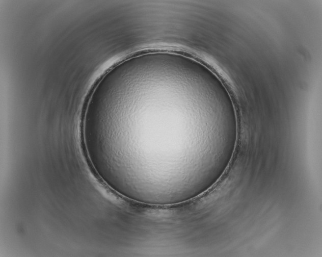 X0000112761237200909031541