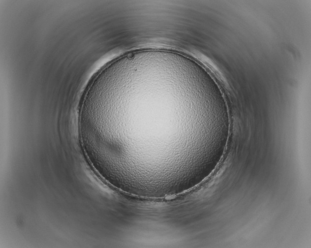 X0000112761238200909031541
