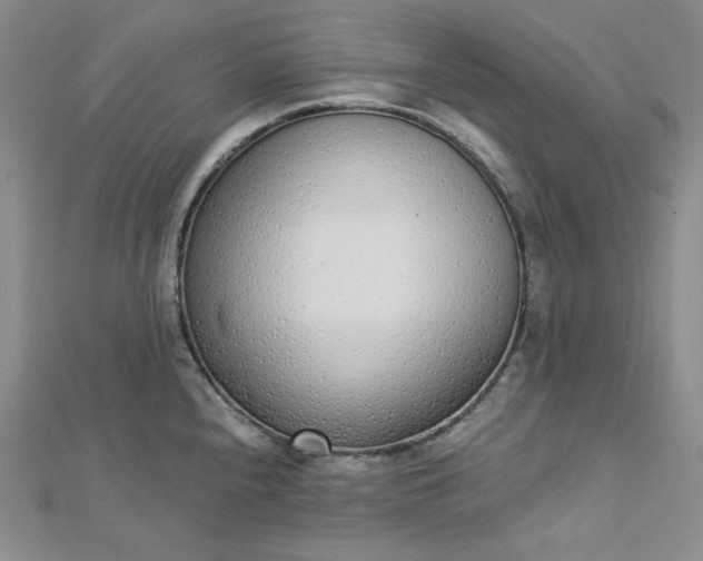 X0000112761240200909031541