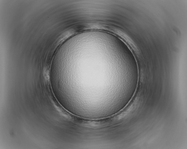 X0000112761241200909031541